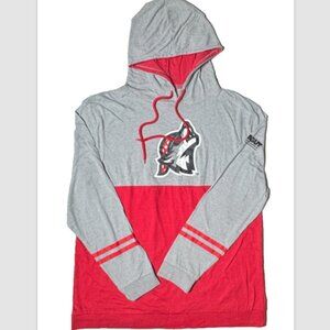 (M) ERIE SEAWOLVES Minor League Baseball Hooded Long Sleeve Tee